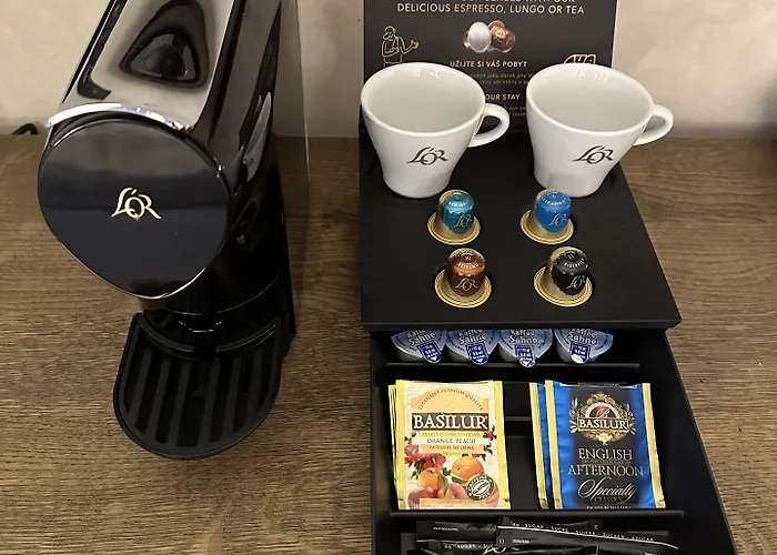 Hotel Three Storks Praga