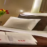 Hotel Three Storks 5*