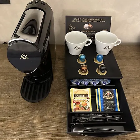 فندق Three Storks براغ