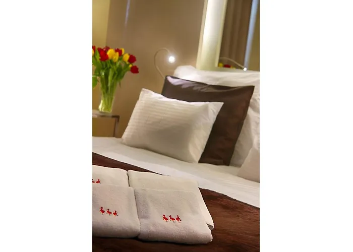 Three Storks 5* براغ
