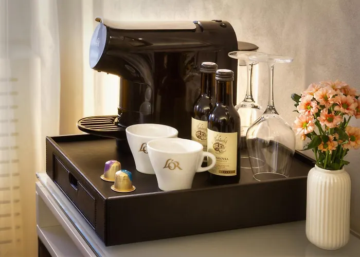 Three Storks 5* براغ
